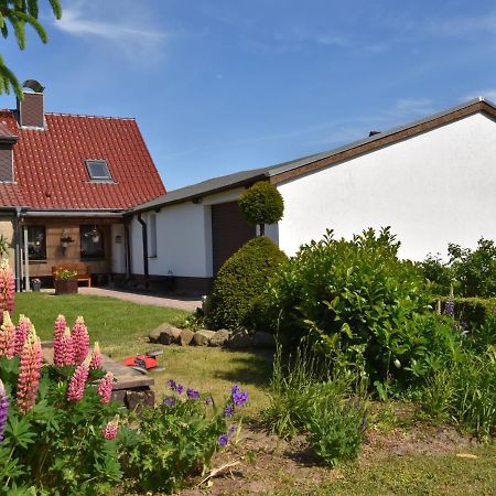 Apartment In Robertsdorf With Garden, Terrace, Barbecue Blowatz Δωμάτιο φωτογραφία